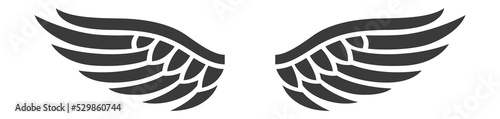 Eagle wings flight graphics spiritual vector illustration