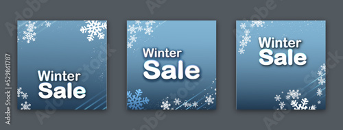 Winter Sale Social Media Post template design. Set of web banner, flyer or posters Digital advertising banner promotion.