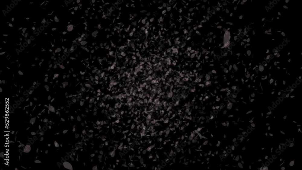 カウントダウン 5秒 背景 桜 花びら 01 カウントダウン 5秒 背景 桜 花びら 01