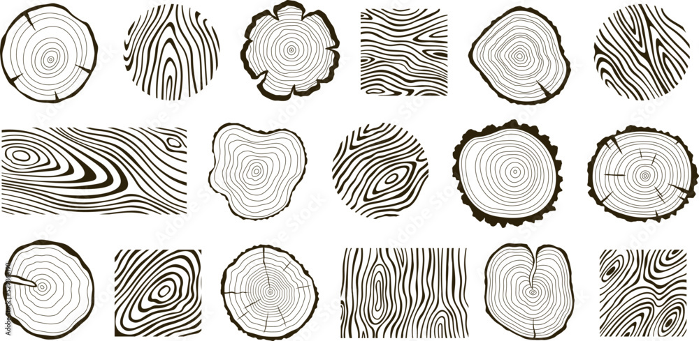 Wooden logs textures. Wood concepts graphics, lumber circles top view. Vintage outline tree rings stumps, cut trees structure racy vector collection