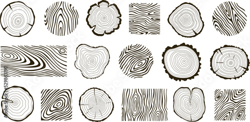 Wooden logs textures. Wood concepts graphics, lumber circles top view. Vintage outline tree rings stumps, cut trees structure racy vector collection photo