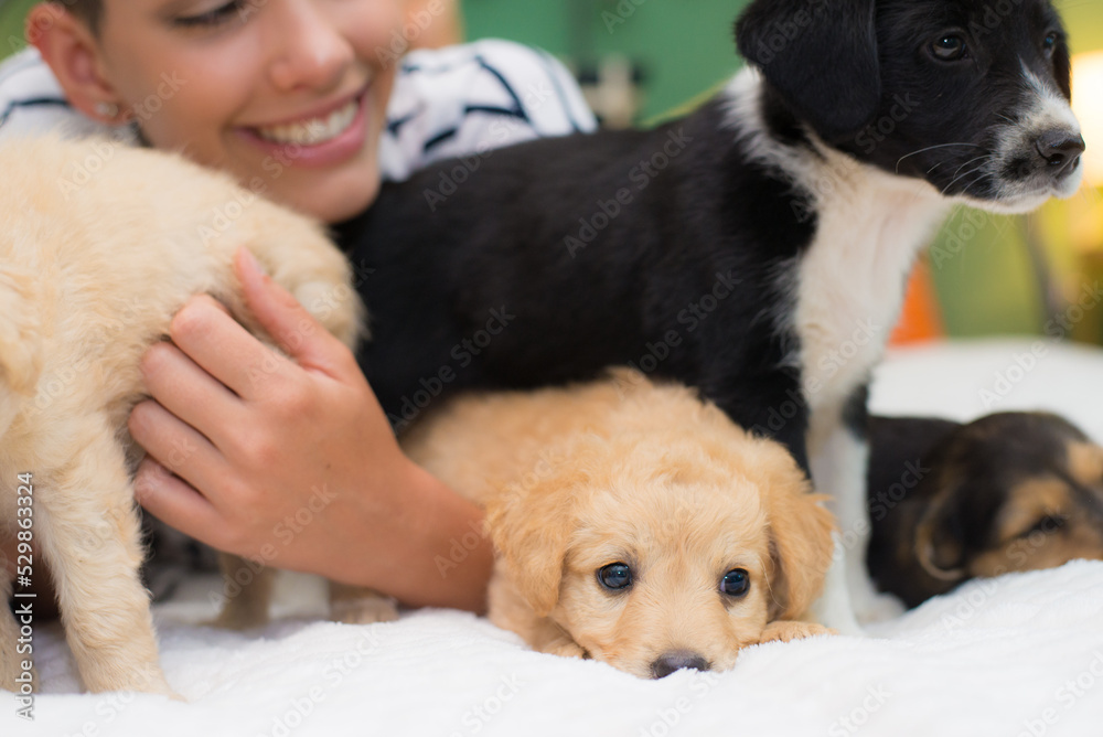 Young woman playing with puppies in bed
