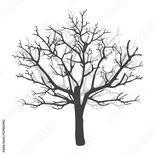 Abstract nature background.