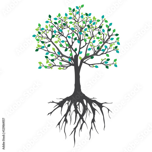 Abstract tree with roots. Vector outline illustration. Plant in Garden.