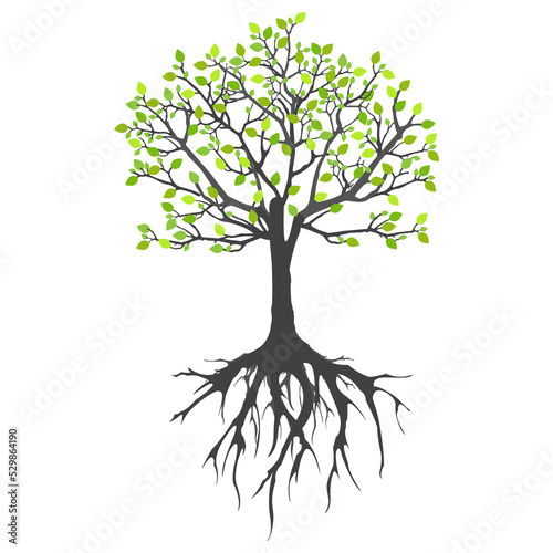 Abstract tree with roots. Vector outline illustration. Plant in Garden.