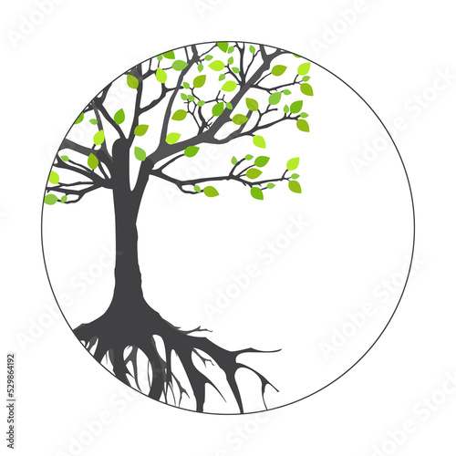 Abstract tree with roots. Vector outline illustration. Plant in Garden.