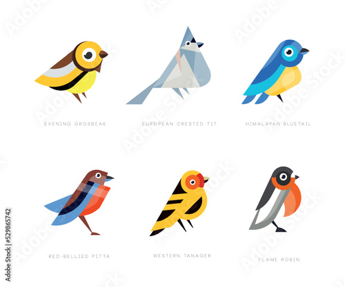 Colorful Stylized Birds Collection with Evening Grosbeak, European Crested Tit, Himalayan Bluetail, Red Bellied Pitta, Western Tanager and Flame Robin Vector Set