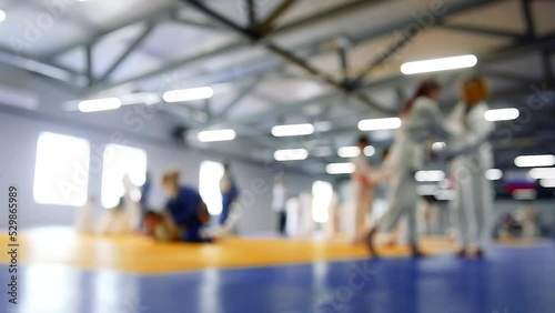 Wallpaper Mural Children are exercising. Judo. Blurred. Torontodigital.ca