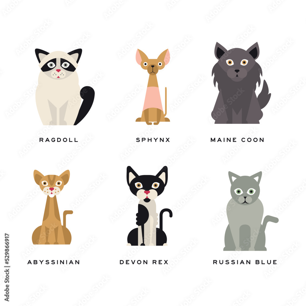 Different Cat Breed with Ragdoll, Sphynx, Maine Coon, Abyssinian, Devon Rex and Russian Blue Vector Set