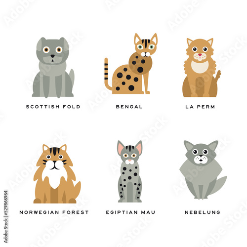 Obraz na płótnie Different Cat Breed with Scottish Fold, Bengal, La Perm, Norwegian Forest, Egypt