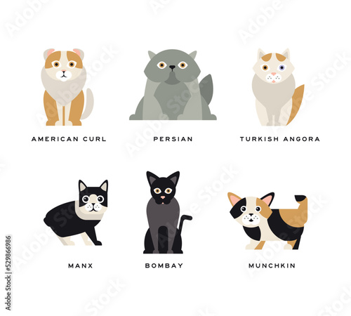 Canvas Print Different Cat Breed with American Curl, Persian, Turkish Angora, Manx, Bombay an