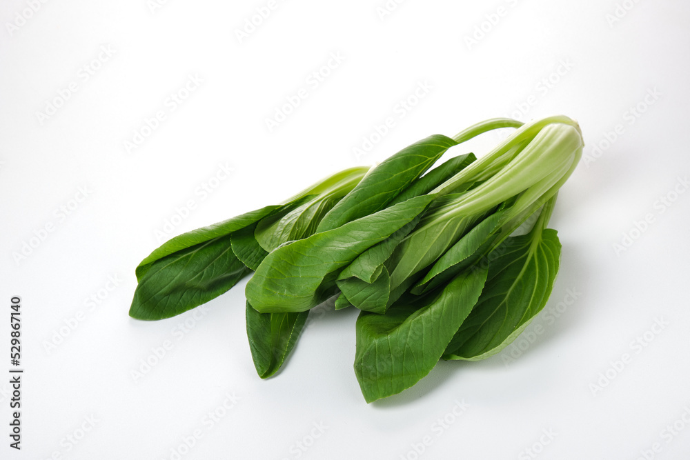 mustard greens isolated on white background mustard greens isolated on white background