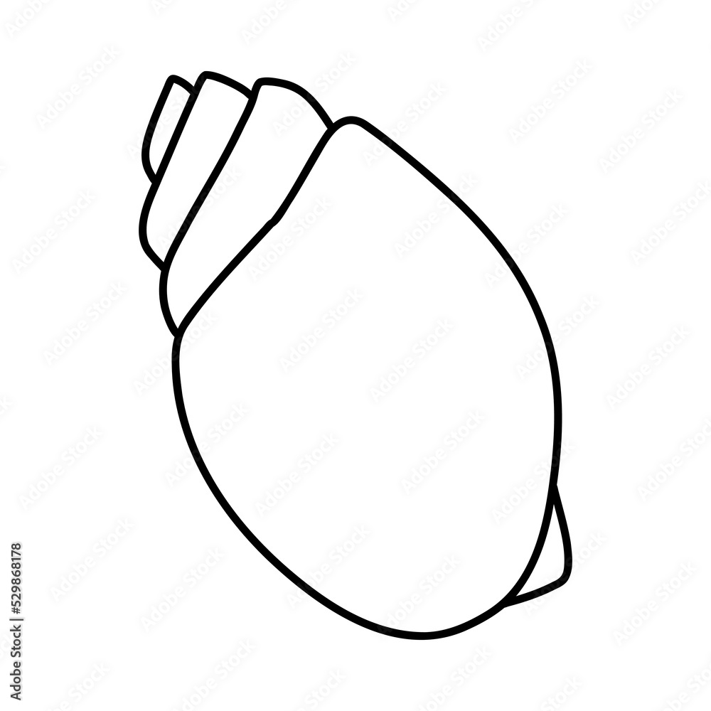 Line art sketch seashells. Line art sketch seashells.