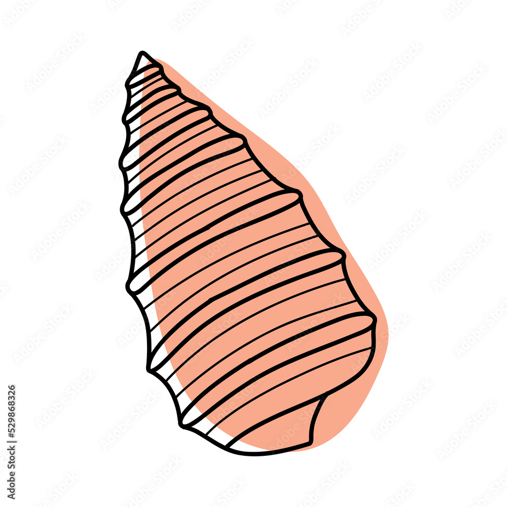 Line art sketch seashells.