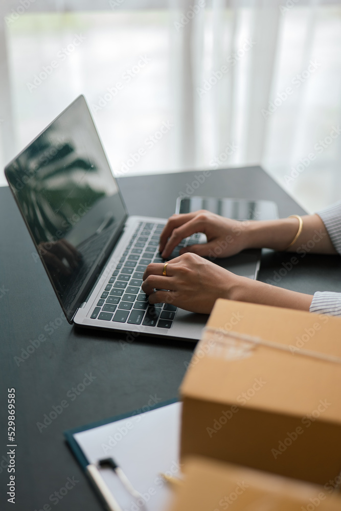 Young owner business woman received orders clients and products in parcel cardboard box packaging on the rack in warehouse. Young owner business woman received orders clients and products in parcel cardboard box packaging on the rack in warehouse.