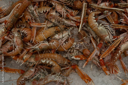 A large catch of fresh prawns chilled on a bed of ice waiting to be sold by a fishmonger in a market stall. This saltwater seafood is caught in great numbers and sold throughout the UK  