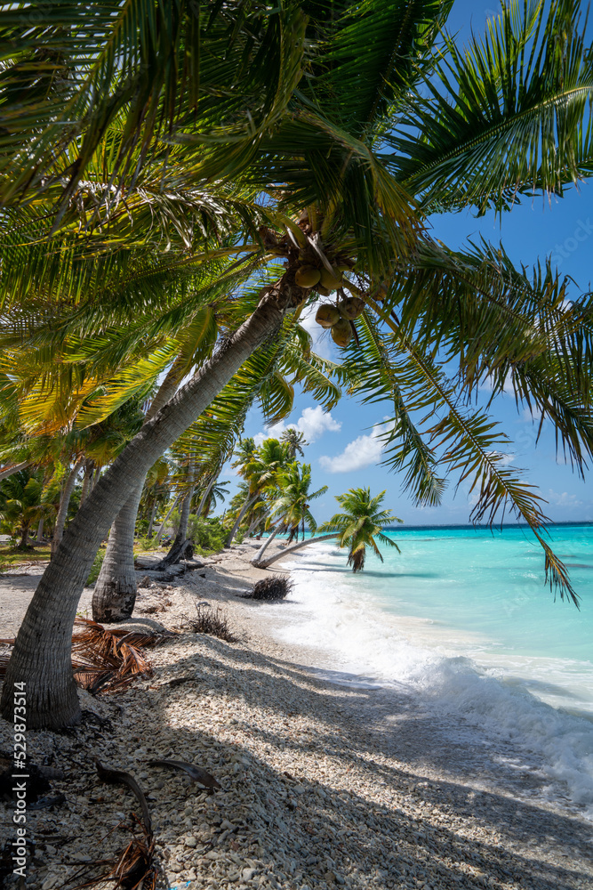 Obraz premium Palm Trees Blue Water Sunny