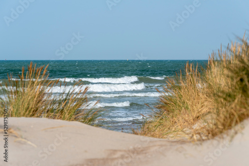 Fototapeta Naklejka Na Ścianę i Meble -  Vagues et océan vu depuis les dunes