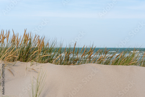 Gros plan sur le sable des dunes et la végétation dunaire et la mer du Nord dans le bokeh d'arrière plan