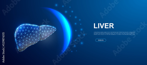 Liver 3d polygonal symbol for landing page template. Low poly Organ illustration for advertising page design. Hepatitis design illustration concept.