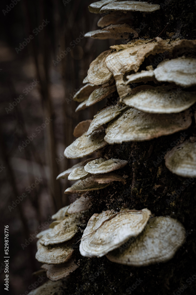 pile of stones pile of stones