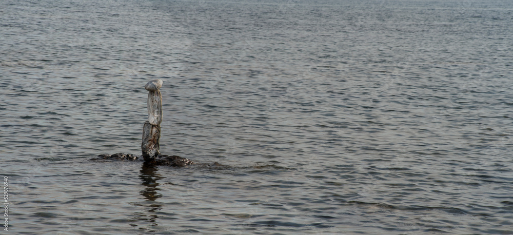 Fototapeta premium balanced stones on the rocks of the sea