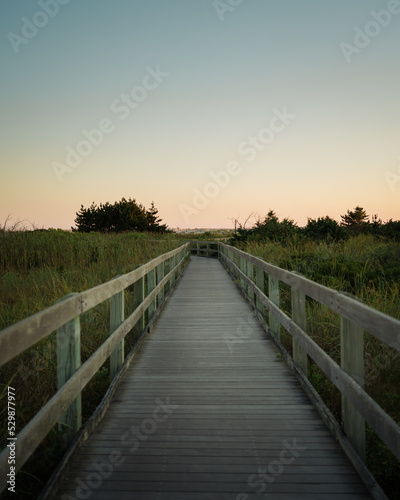 Boardwalk trail at sunset, Fire Island, New York