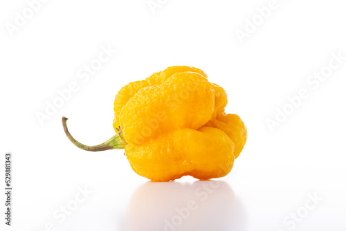 Yellow Trinidad Moruga Scorpion Pepper Chili photo