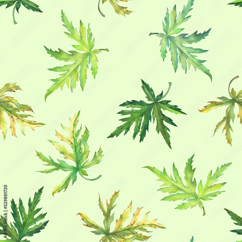 Seamless pattern with aconite leaves on yellow-green background