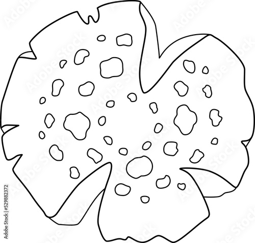 Fly agaric, spotted mushroom cap - vector linear picture for coloring. Outline. Amanita mushroom poisonous mushroom for coloring book