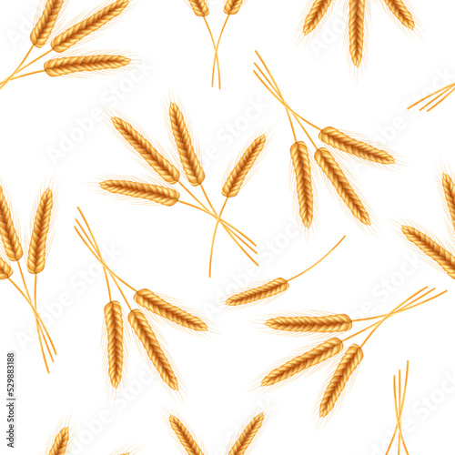 Seamless pattern of ripe spikelets of wheat with grains,ears and stalks.Realistic illustration of seed plants,organic farming farming.
