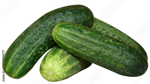 cucumber isolated 