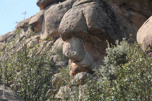 Pareidolia roca con forma de cara en las montañas de la pedriza. Manzanares el real, Madrid photo