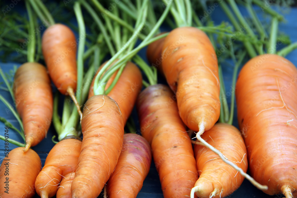 Fresh and sweet carrots on a wooden background Fresh and sweet carrots on a wooden background