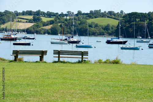 Dittisham, River Dart, Devon, England photo