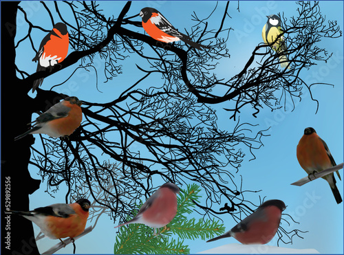 seven bullfinches on blue background