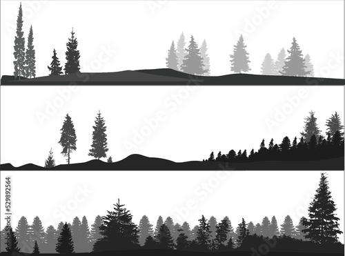 high pines and fir trees forest three dark grey landscapes