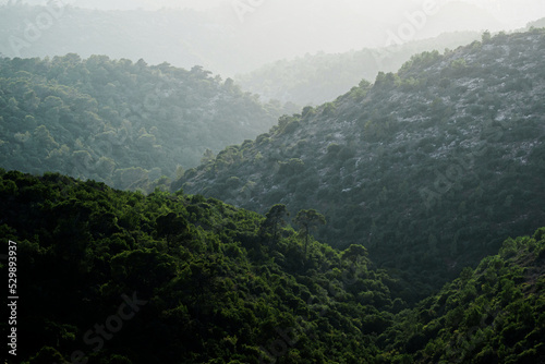 Mount in north israel