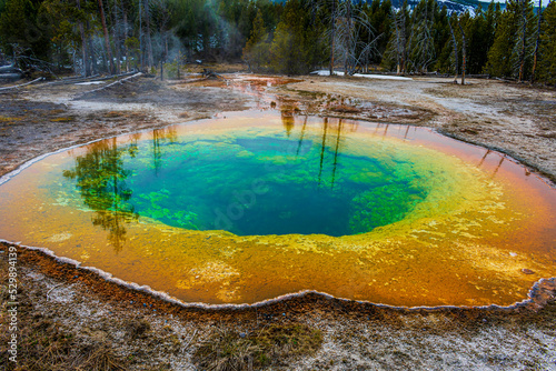 Fototapeta Naklejka Na Ścianę i Meble -  Yellow Stone National Park