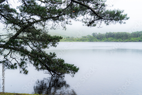 Pollacappul Lough is a lake in County Galway. Pollacappul Lough is situated west of Kylemore Lough, and northwest of Benbaun.  Scenic in Ireland. photo