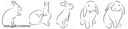 Kaninchen Ostern Konturen Vektor Grafik | Rabbits Drawnings Vector Graphic