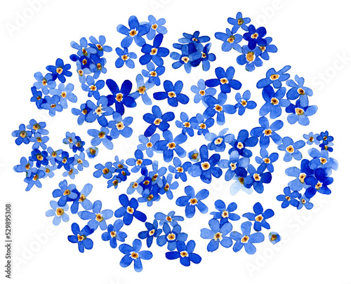 Watercolor frame of forget-me-not wildflowers on a transparent background