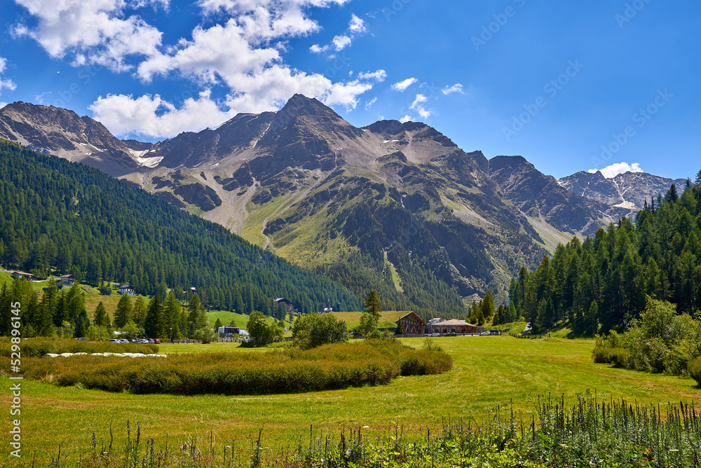Fototapeta premium view of a valley in dolomites, italy