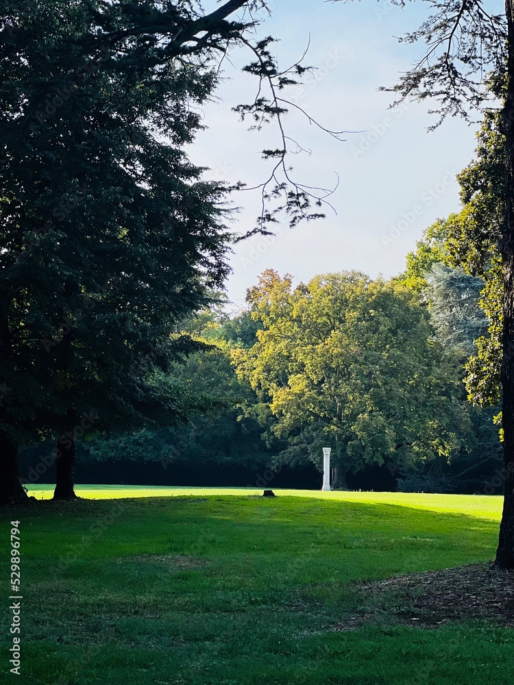 Obraz premium trees in the park