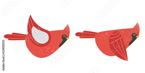 Bird fly steps sequence action abstract concept. Graphic design cartoon illustration