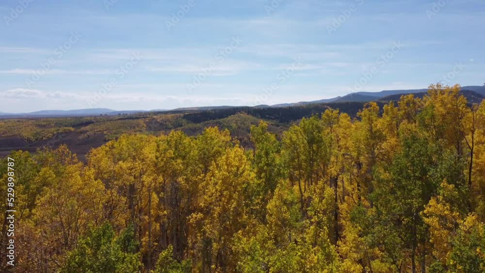 autumn in the mountains - Colorado autumn in the mountains - Colorado