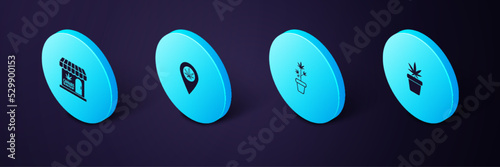 Set Isometric Marijuana plant in pot, , Location and marijuana and cannabis store icon. Vector