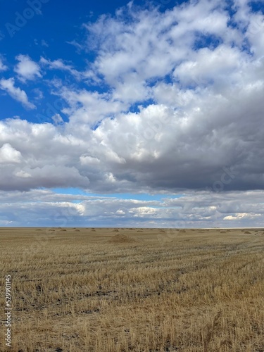 clouds over the field