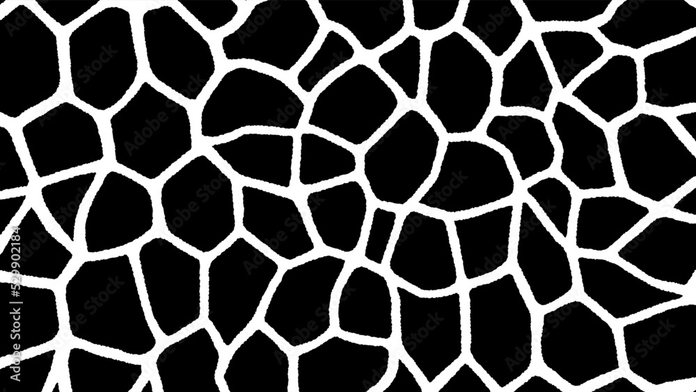 白黒のキリン柄 白黒のキリン柄
