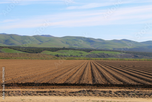 fresh plowed california crop field harvest farm farmland plowing season spring farming food crops